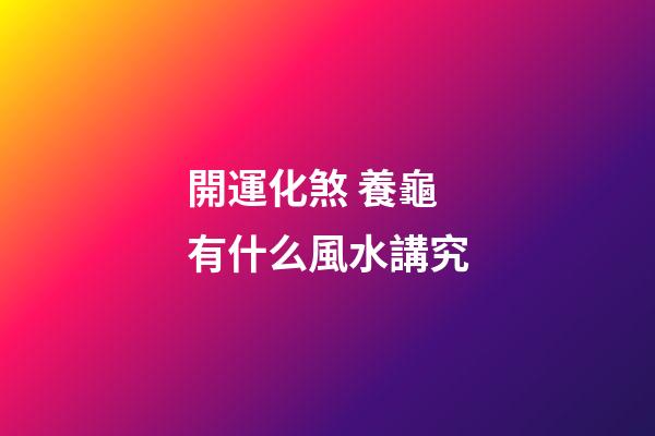 開運化煞 養龜有什么風水講究